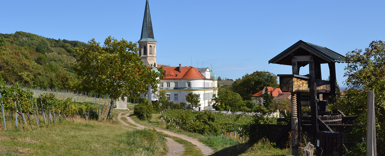 Weinwanderung in Gumpoldskirchen