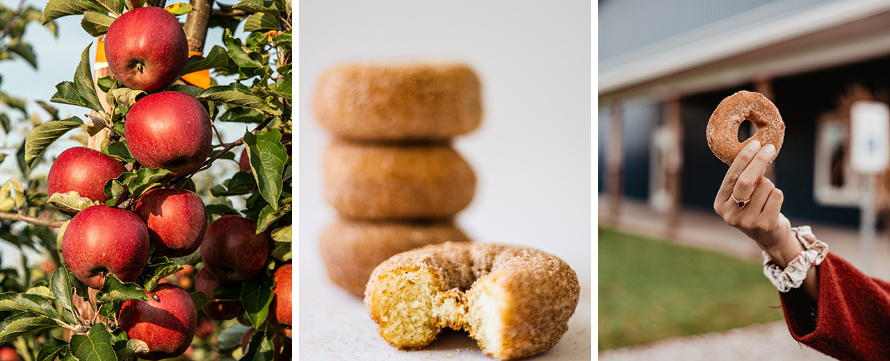 Apple Cider Donut